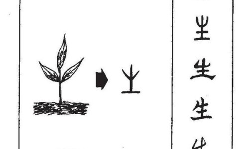 甜荞茶的功效与作用及禁忌-甜荞茶的功效与作用网-分享甜荞是荞麦吗，甜荞俗称知识库